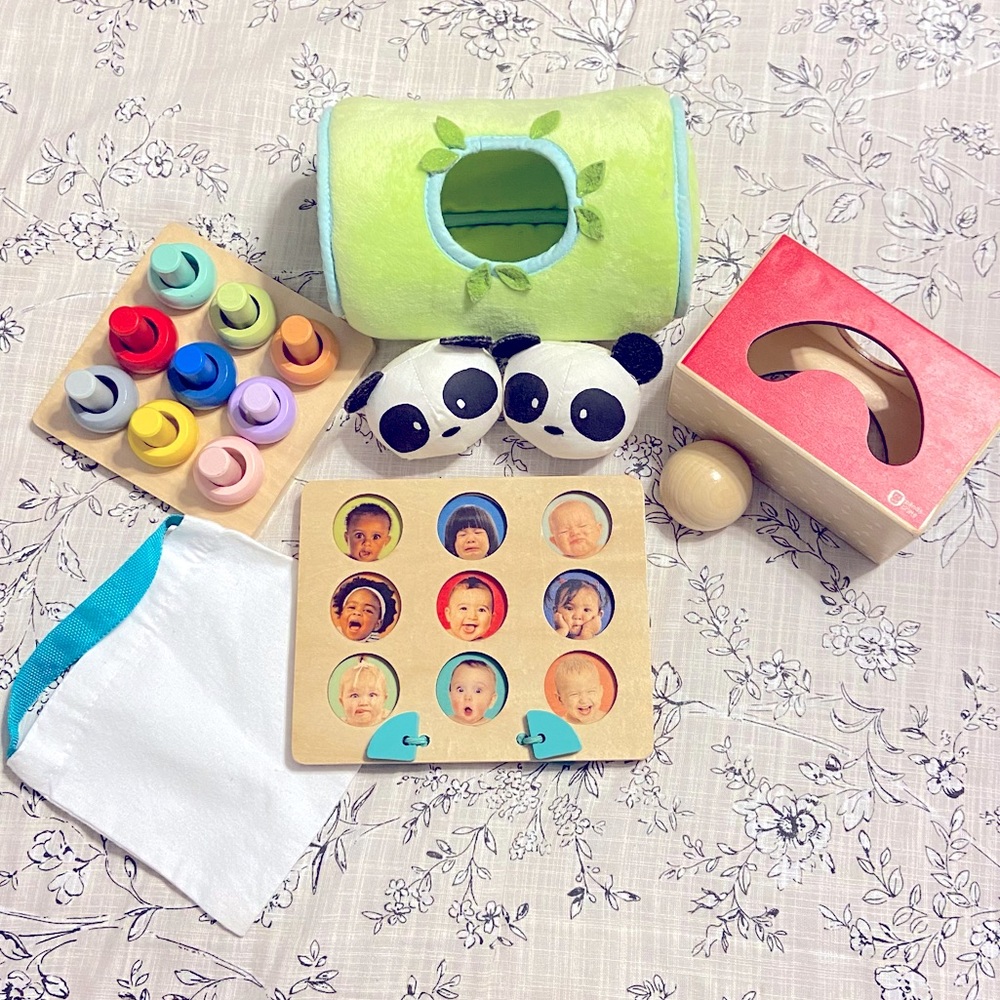 Kiwico Panda Crate Learning Wooden Toy Assortment